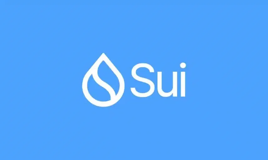 What is Sui? A Beginner's Guide